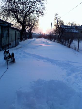 Прикачена снимка