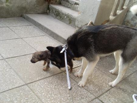 Прикачена снимка