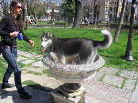 Прикачена снимка