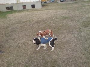 Прикачена снимка