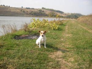 Прикачена снимка