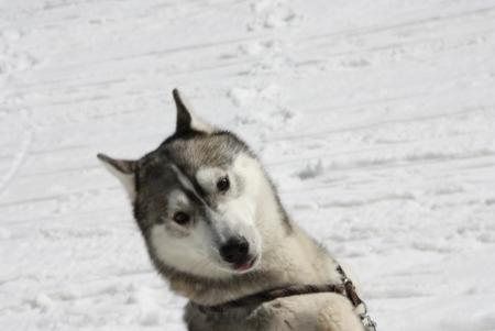 Прикачена снимка