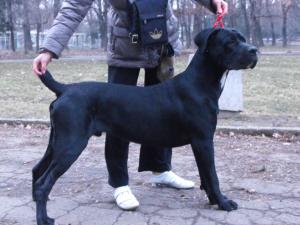 Прикачена снимка