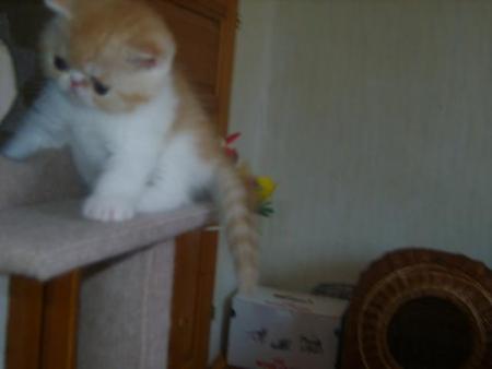 Прикачена снимка