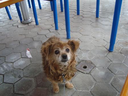 Прикачена снимка