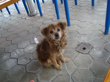 Прикачена снимка