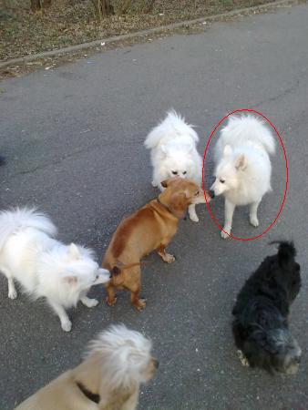 Прикачена снимка
