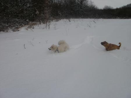 Прикачена снимка