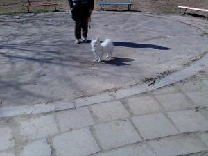Прикачена снимка