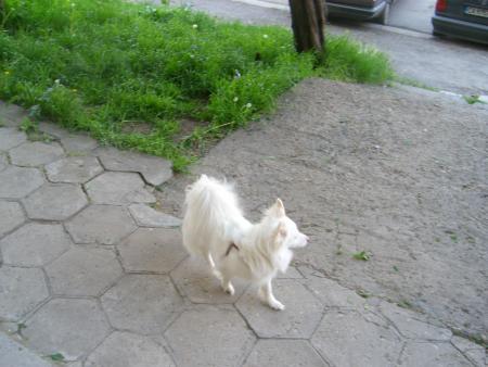 Прикачена снимка