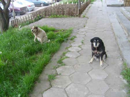 Прикачена снимка