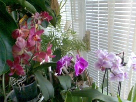 Прикачена снимка