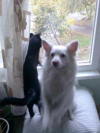 Прикачена снимка