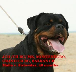 Прикачена снимка