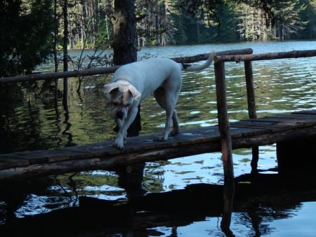 Прикачена снимка