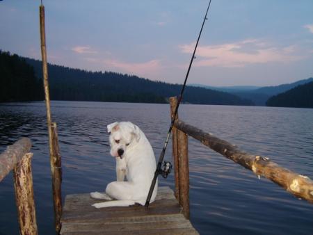 Прикачена снимка