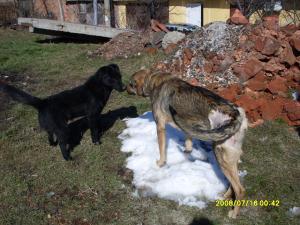 Прикачена снимка