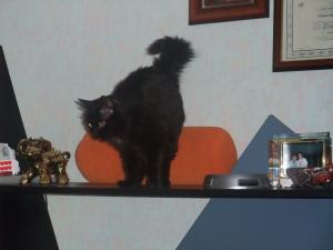 Прикачена снимка