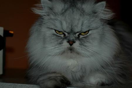 Прикачена снимка