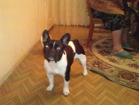 Прикачена снимка