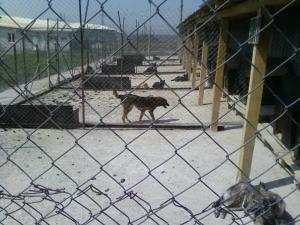 Прикачена снимка