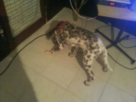 Прикачена снимка