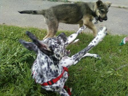 Прикачена снимка