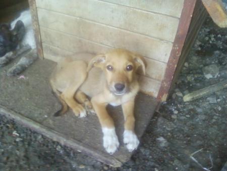 Прикачена снимка