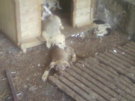 Прикачена снимка