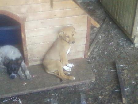 Прикачена снимка