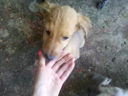 Прикачена снимка