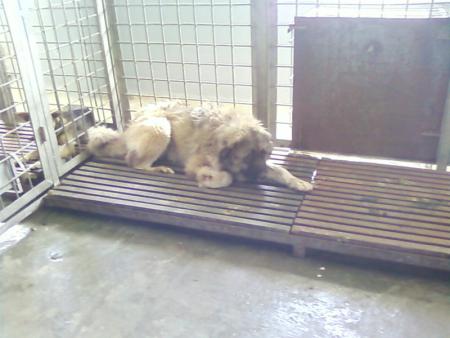 Прикачена снимка
