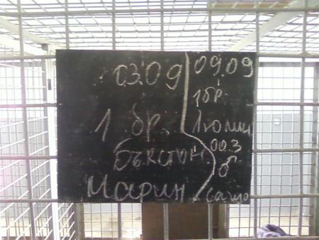 Прикачена снимка