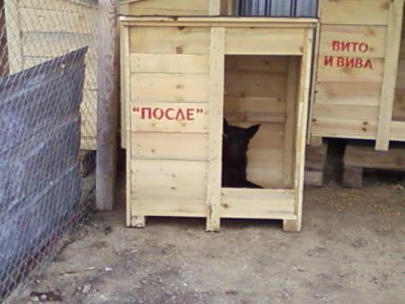 Прикачена снимка