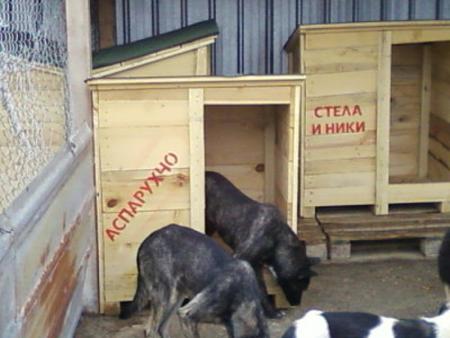Прикачена снимка