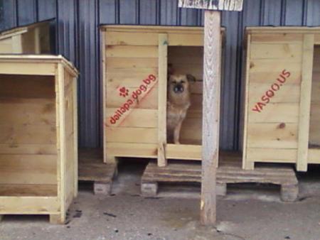 Прикачена снимка