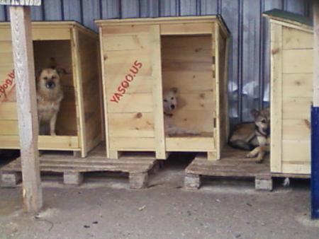 Прикачена снимка