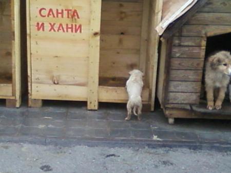 Прикачена снимка