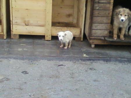 Прикачена снимка