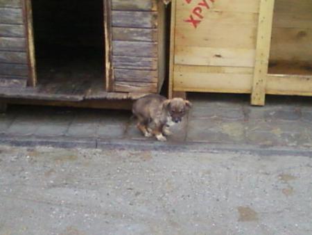 Прикачена снимка