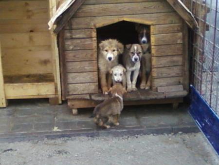 Прикачена снимка