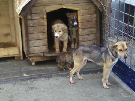 Прикачена снимка