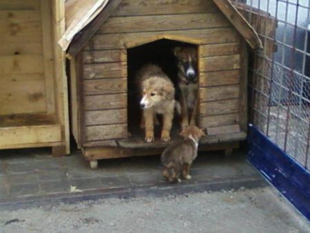 Прикачена снимка