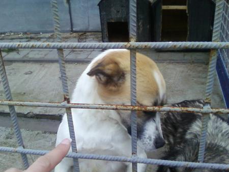 Прикачена снимка