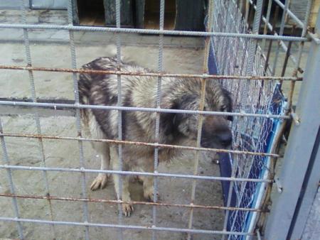 Прикачена снимка
