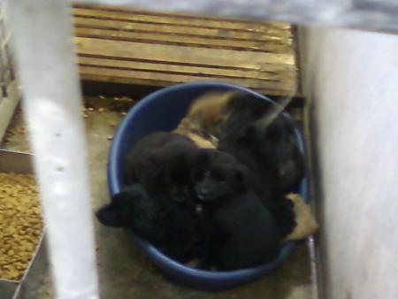Прикачена снимка