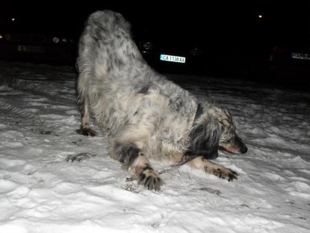 Прикачена снимка