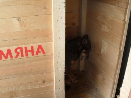 Прикачена снимка