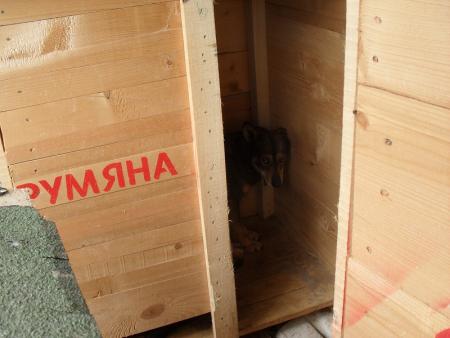 Прикачена снимка