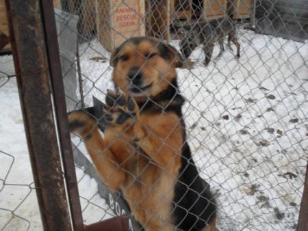 Прикачена снимка